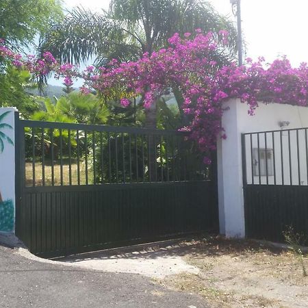Finca Las Palmeras Icod De Los Vinos Dış mekan fotoğraf