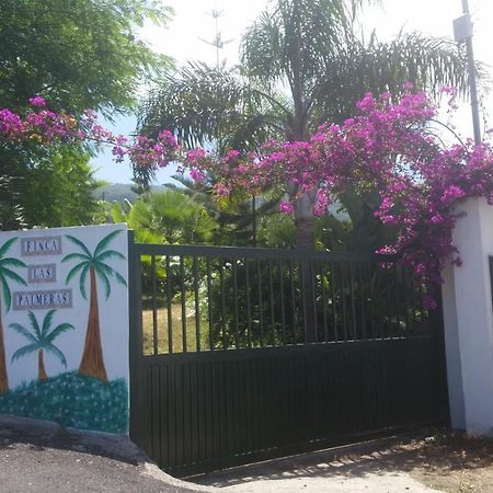 Finca Las Palmeras Icod De Los Vinos Dış mekan fotoğraf