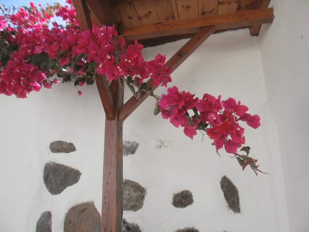 Finca Las Palmeras Icod De Los Vinos Dış mekan fotoğraf