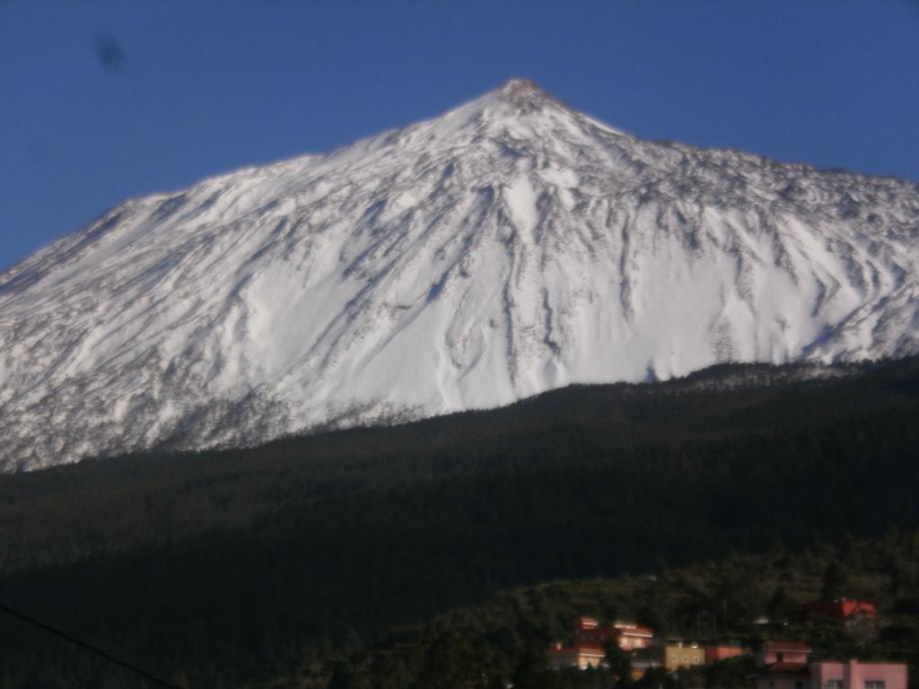 Finca Las Palmeras Icod De Los Vinos Dış mekan fotoğraf