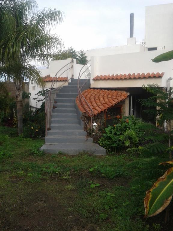 Finca Las Palmeras Icod De Los Vinos Oda fotoğraf