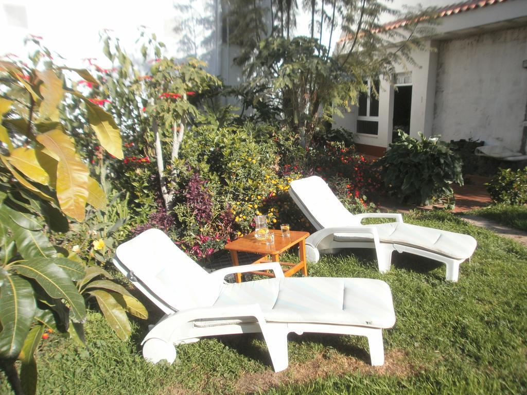 Finca Las Palmeras Icod De Los Vinos Dış mekan fotoğraf