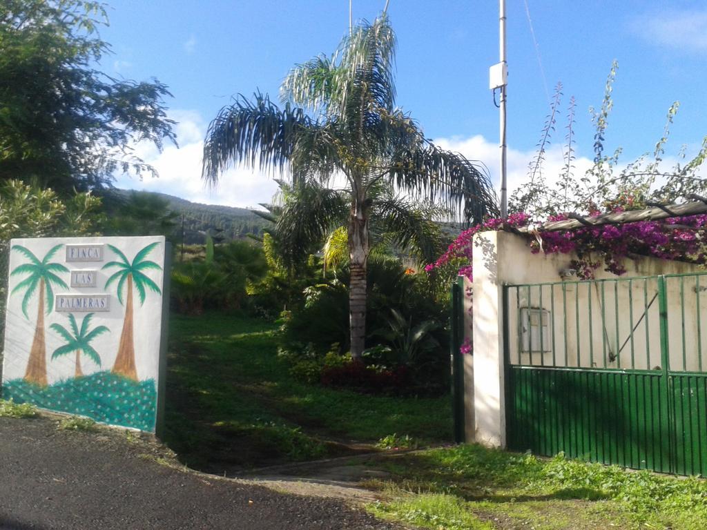 Finca Las Palmeras Icod De Los Vinos Dış mekan fotoğraf