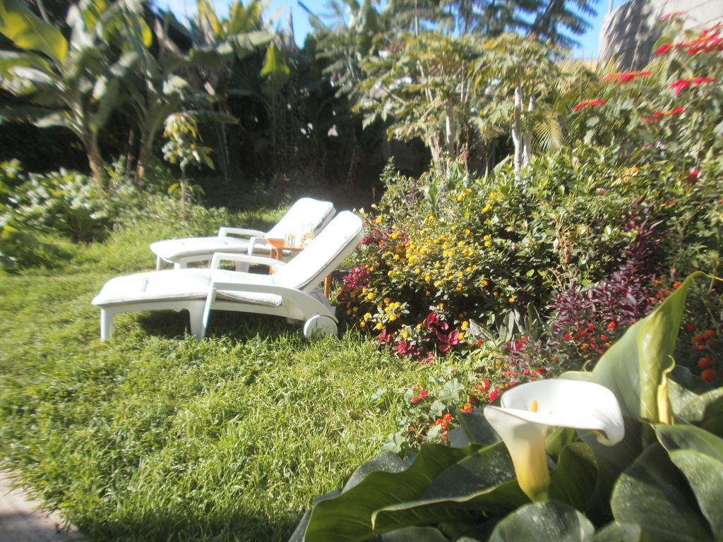 Finca Las Palmeras Icod De Los Vinos Oda fotoğraf