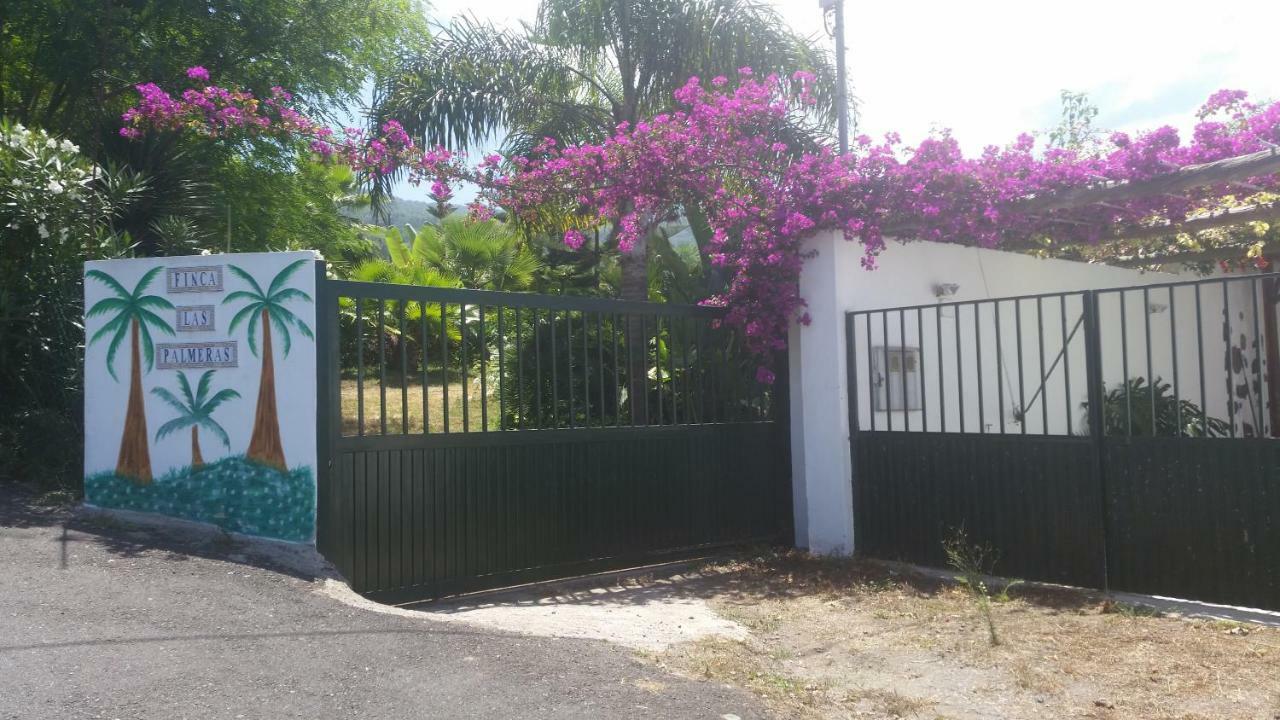 Finca Las Palmeras Icod De Los Vinos Dış mekan fotoğraf