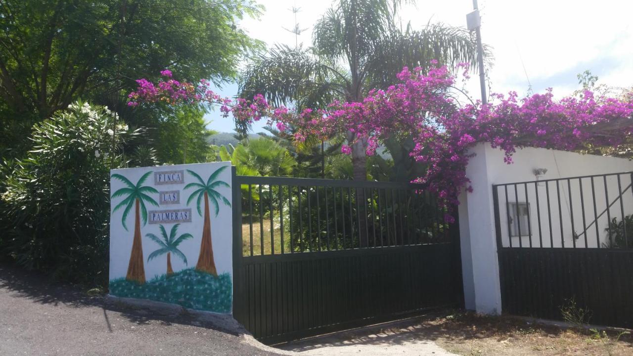Finca Las Palmeras Icod De Los Vinos Dış mekan fotoğraf