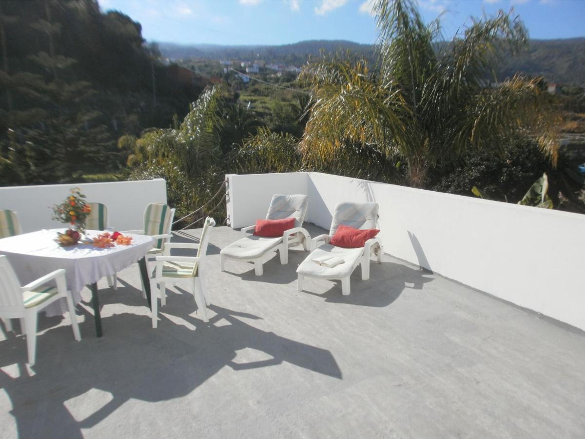 Finca Las Palmeras Icod De Los Vinos Dış mekan fotoğraf